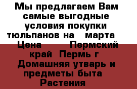 Мы предлагаем Вам самые выгодные условия покупки тюльпанов на 8 марта.  › Цена ­ 50 - Пермский край, Пермь г. Домашняя утварь и предметы быта » Растения   
